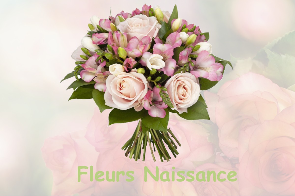 fleurs naissance BLETTERANS