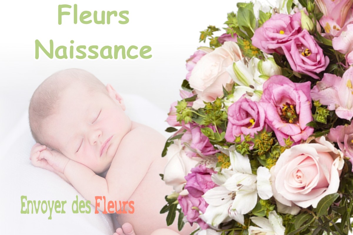 lIVRAISON FLEURS NAISSANCE à BLETTERANS